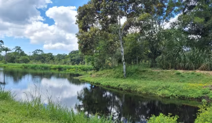 área rural com 28.000 m² na Colônia Pereira - Matinhos - Pr.