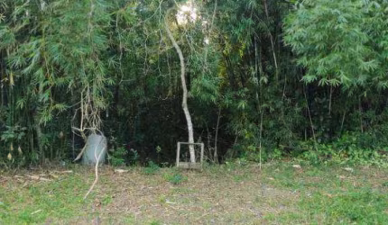 Terreno à venda, 2700 m² por R$ 176.000,00 - Jardim Guadalupe - Caçapava/SP