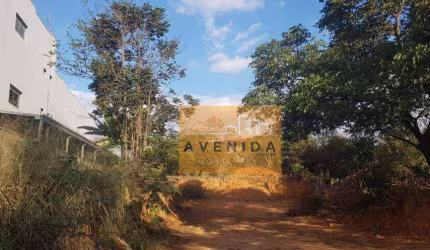 Terreno à venda, 1274 m² por R$ 950.000,00 - Vila José Paulino Nogueira - Paulínia/SP