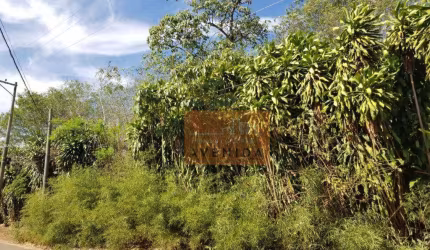 Área à venda, 5000 m² por R$ 5.000.000,00 - Santa Terezinha - Paulínia/SP