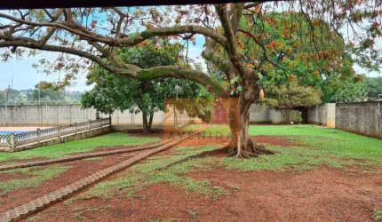 Chácara com 1 dormitório à venda, 2000 m² por R$ 1.000.000,00 - João Aranha - Paulínia/SP