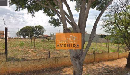 Terreno à venda, 3405 m² por R$ 3.500.000 - Jardim dos Oliveiras - Campinas/SP