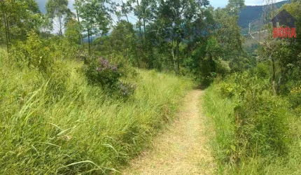 Terreno à venda, 3600 m² por R$ 195.000,00 - Luiz Fagundes - Mairiporã/SP
