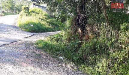 Terreno à venda, 250 m² por R$ 100.000,00 - Olho D'Água - Mairiporã/SP