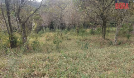 Terreno à venda, 1770 m² por R$ 200.000,00 - Olho D'Água - Mairiporã/SP