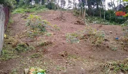 Terreno à venda, 1000 m² por R$ 120.000 - Jardim Maria Antonina - Mairiporã/SP