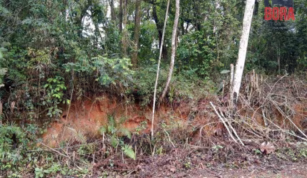Terreno à venda, 1250 m² por R$ 200.000,00 - Parque Germânia - Mairiporã/SP