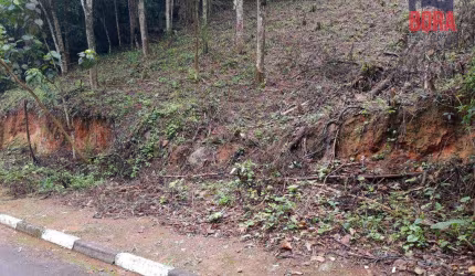 Terreno à venda, 1250 m² por R$ 150.000 - Parque Germânia - Mairiporã/SP