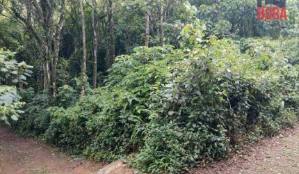 Terreno à venda, 2800 m² por R$ 260.000 - Parque Germânia - Mairiporã/SP