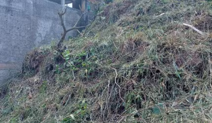 Terreno à venda, 338 m² por R$ 65.000,00 - Jardim Carpi - Mairiporã/SP