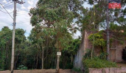 Terreno 600m² com escritura, excelente oportunidade.
