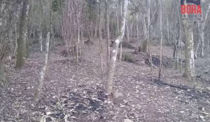 Terreno à venda, 2080 m² por R$ 200.000,00 - Caceia - Mairiporã/SP