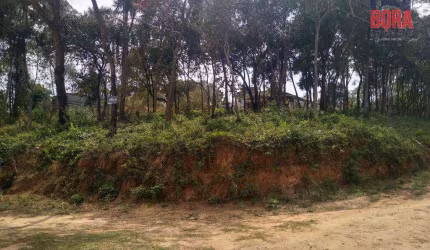 Terreno à venda, 1252 m² por R$ 120.000 - Jardim Sinki - Franco da Rocha/SP