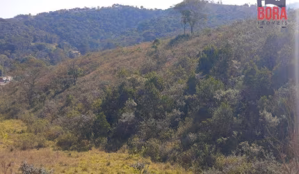 Terreno à venda, 500 m² por R$ 65.000 - Capoavinha - Mairiporã/SP