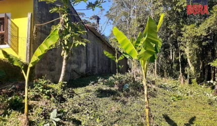 Terreno à venda, 1000 m² por R$ 100.000,00 - Luiz Fagundes - Mairiporã/SP