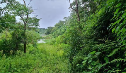 Terreno à venda, 13845 m² por R$ 1.300.000 - Cacéia - Mairiporã/SP