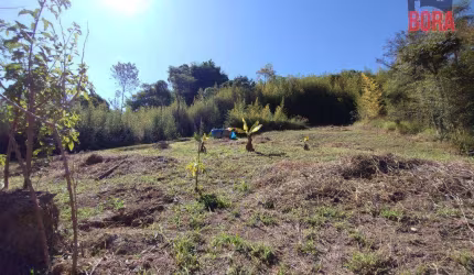 Terreno à venda, 6000 m² por R$ 400.000 - Rio Acima - Mairiporã/SP