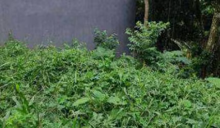 Terreno à venda, 1250 m² por R$ 250.000 - Rancho Grande - Mairiporã/SP