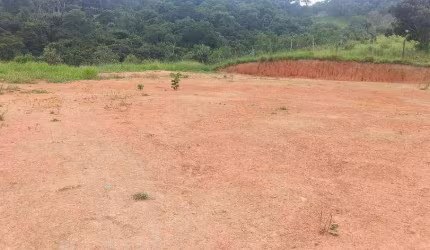 Terreno à venda, 2500 m² por R$ 200.000,00 - Mairiporã - Mairiporã/SP