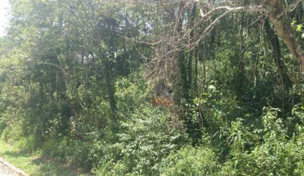 Terreno à venda, 2800 m² por R$ 260.000,00 - Parque Germânia - Mairiporã/SP