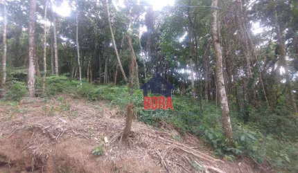 Terreno à venda, 1000 m² por R$ 100.000 - Corumbá - Mairiporã/SP
