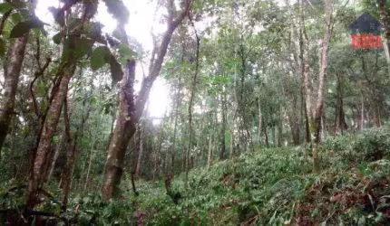 Terreno à venda, 2790 m² por R$ 200.000,00 - Capoavinha - Mairiporã/SP