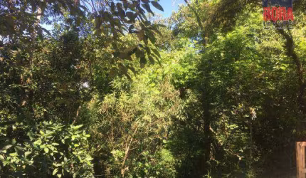 Terreno à venda, 400 m² por R$ 60.000,00 - Capoavinha - Mairiporã/SP