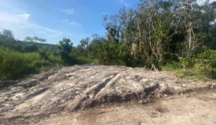 Terreno para Venda em Matinhos, Balneário Praia Grande