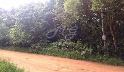 Terreno à venda no bairro Canguiri em Colombo/PR