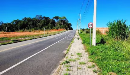 Terreno à venda no bairro Araçatuba em Campina Grande do Sul/PR