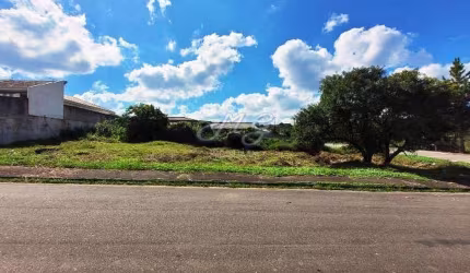 Terreno à venda no bairro Borda do Campo em Quatro Barras/PR