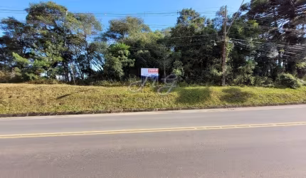 Terreno à venda no bairro Araçatuba em Campina Grande do Sul/PR