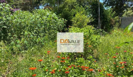 Chácara à venda, 1000 m² por R$ 120.000 - Chácara Ipês- Boa Vista - Caçapava/SP