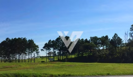 Área, 10900 m² - venda por R$ 6.900.000,00 ou aluguel por R$ 10.000,00/mês - Itavuvu - Sorocaba/SP