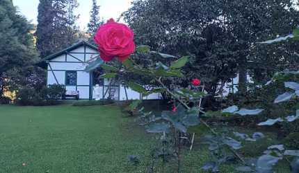FAZENDA/HARAS
