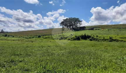 Terreno à venda em Vitória Régia - SP