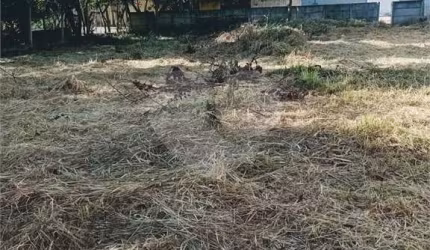 Terreno à venda em Loteamento Vale Das Flores - SP