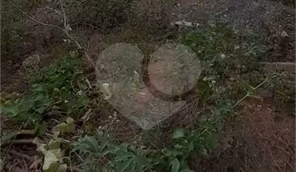Terreno à venda em Centro - SP