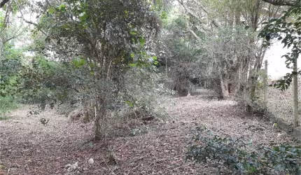 Terreno à venda em Chácaras Fernão Dias - SP
