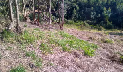 Área de Terra à venda em Centro - SP