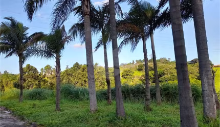 Área de Terra à venda em Três Pistas - SP