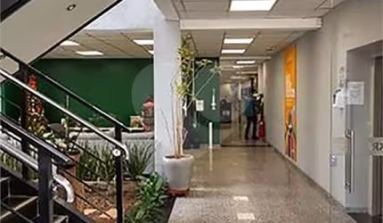 Prédio inteiro à venda ou para locação em Guaxinduva - SP