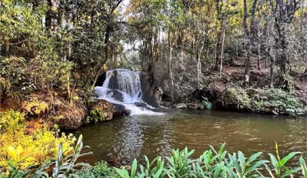 Sítio com 4 quartos à venda em Moinho - SP
