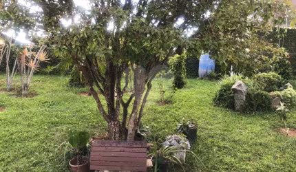 Chácara com 3 quartos para locação em Tanque - SP