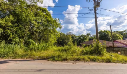 Terreno/Área no Butiatuvinha de 1137,57 m²  - 94432.001-KD