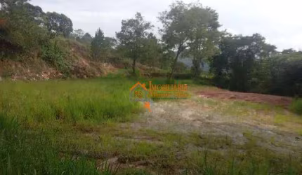 Terreno à venda, 10000 m² por R$ 4.950.000,00 - Chácara das Lavras - Guarulhos/SP