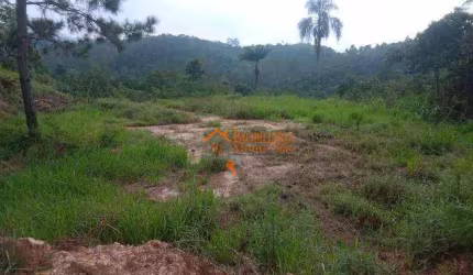 Terreno à venda, 5000 m² por R$ 2.500.000,00 - Chácara das Lavras - Guarulhos/SP