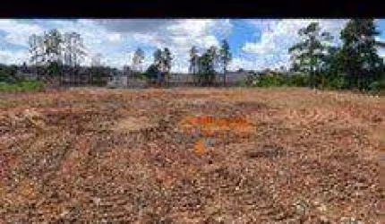 Terreno para alugar, 13000 m² por R$ 27.500,00/mês - Parque Santos Dumont - Guarulhos/SP