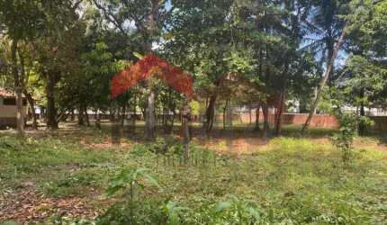 Terreno para Venda em São Luís, Turu