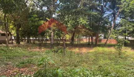 Terreno para Venda em São Luís, Turu